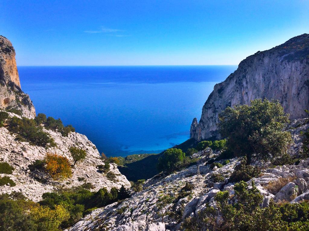 Agriturismo Turudhis トルトリ エクステリア 写真