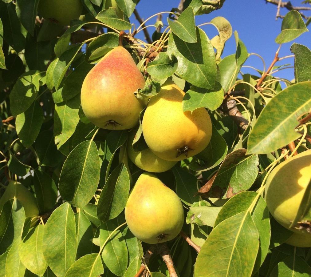 Agriturismo Turudhis トルトリ エクステリア 写真