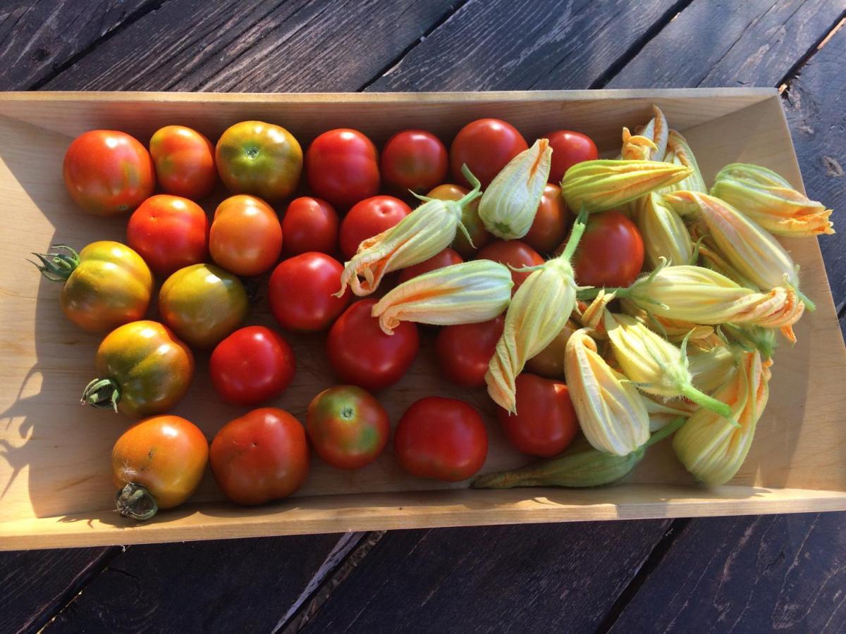 Agriturismo Turudhis トルトリ エクステリア 写真